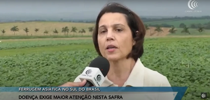 Ferrugem asiática preocupa produtores de soja no sul do Brasil