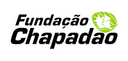 Fundação Chapadão