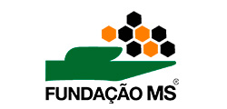 Fundação MS
