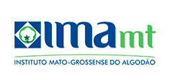 IMA - MT
