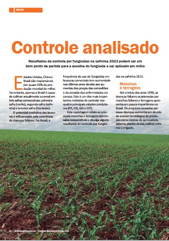 Controle analisado: Resultados de controle por fungicidas na safrinha 2023 podem ser um bom ponto de partida para escolha do fungicida a ser aplicado em milho