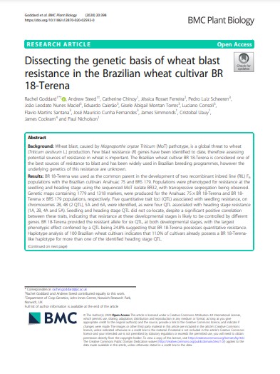 Dissecting the genetic basis of wheat blast resistance in the Brazilian wheat cultivar BR 18-Terena