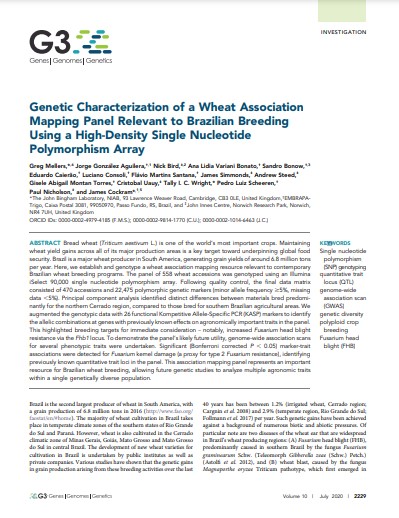 Genetic Characterization of a Wheat Association Mapping Panel Relevant to Brazilian Breeding Using a High-Density Single Nucleotide Polymorphism Array