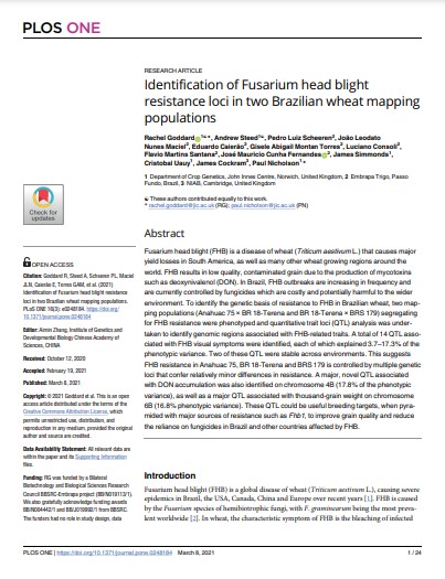 Identification of Fusarium head blight resistance loci in two Brazilian wheat mapping populations