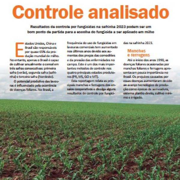 Controle analisado: Resultados de controle por fungicidas na safrinha 2023 podem ser um bom ponto de partida para escolha do fungicida a ser aplicado em milho