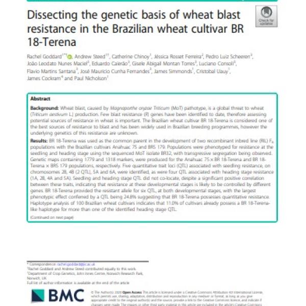 Dissecting the genetic basis of wheat blast resistance in the Brazilian wheat cultivar BR 18-Terena