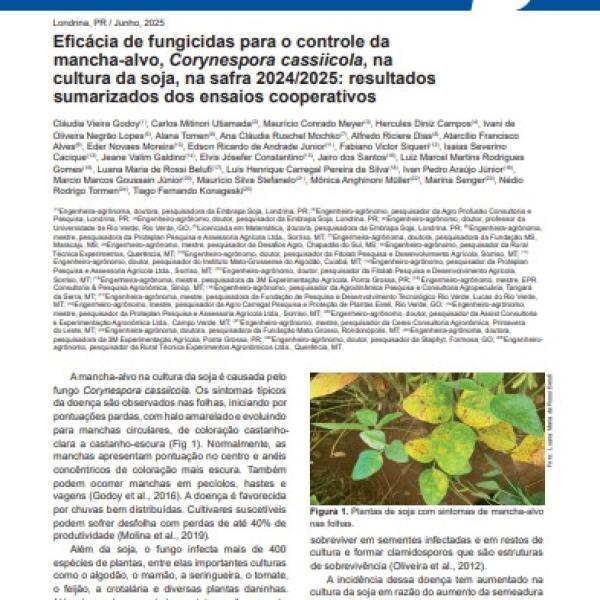 Eficácia de fungicidas para o controle da mancha-alvo, Corynespora cassiicola, na cultura da soja, na safra 2024/2025: resultados sumarizados dos ensaios cooperativos