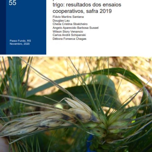 Eficiência de fungicidas para controle de brusone de trigo: resultados dos ensaios cooperativos, safra 2019