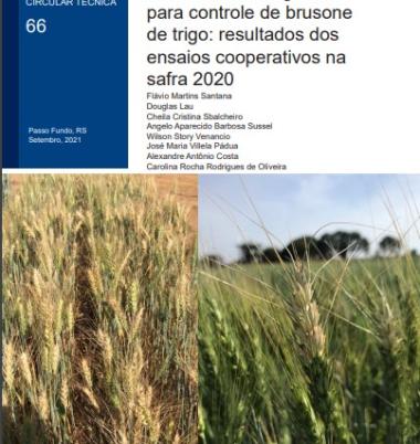 Eficiência de fungicidas para controle de brusone de trigo: resultados dos ensaios cooperativos na safra 2020