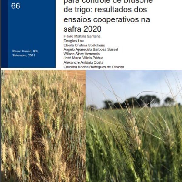 Eficiência de fungicidas para controle de brusone de trigo: resultados dos ensaios cooperativos na safra 2020
