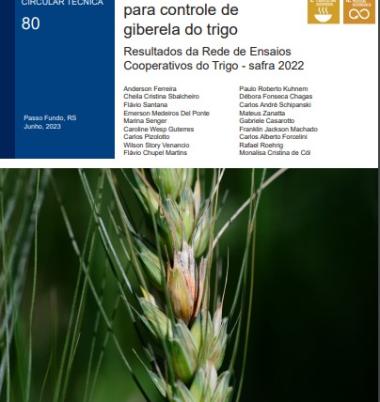 Eficiência de fungicidas para controle de giberela do trigo: resultados da Rede de Ensaios Cooperativos do Trigo - safra 2022