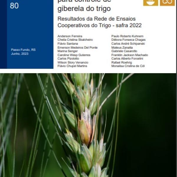 Eficiência de fungicidas para controle de giberela do trigo: resultados da Rede de Ensaios Cooperativos do Trigo - safra 2022