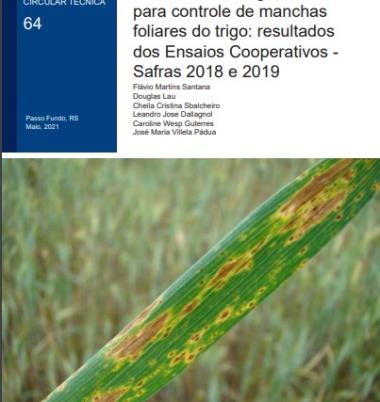 Eficiência de fungicidas para controle de manchas foliares do trigo: resultados dos Ensaios Cooperativos - Safras 2018 e 2019
