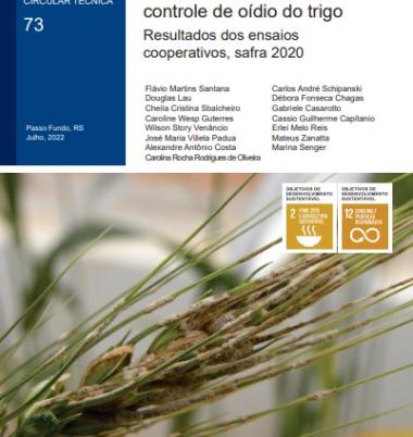 Eficiência de fungicidas para controle de oídio do trigo: resultados dos ensaios cooperativos, safra 2020