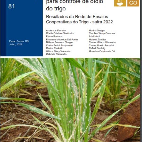 Eficiência de fungicidas para controle de oídio do trigo: resultados da Rede de Ensaios Cooperativos do Trigo - safra 2022