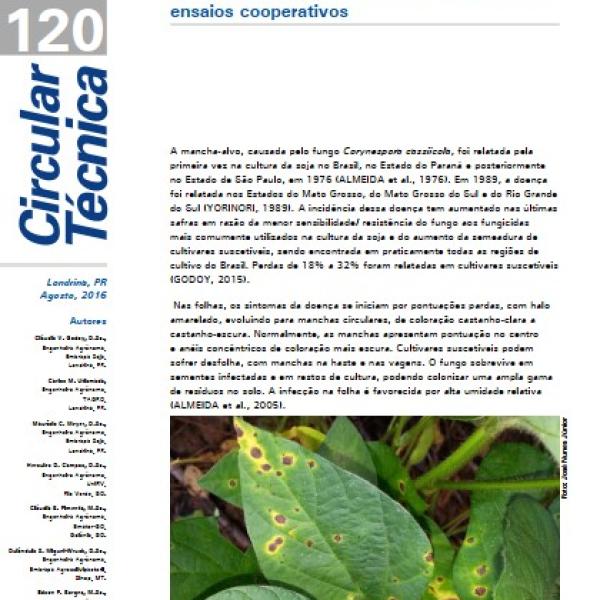 Eficiência de fungicidas para o controle da mancha-alvo, Corynespora cassiicola, na safra 2015/16: resultados sumarizados dos ensaios cooperativos