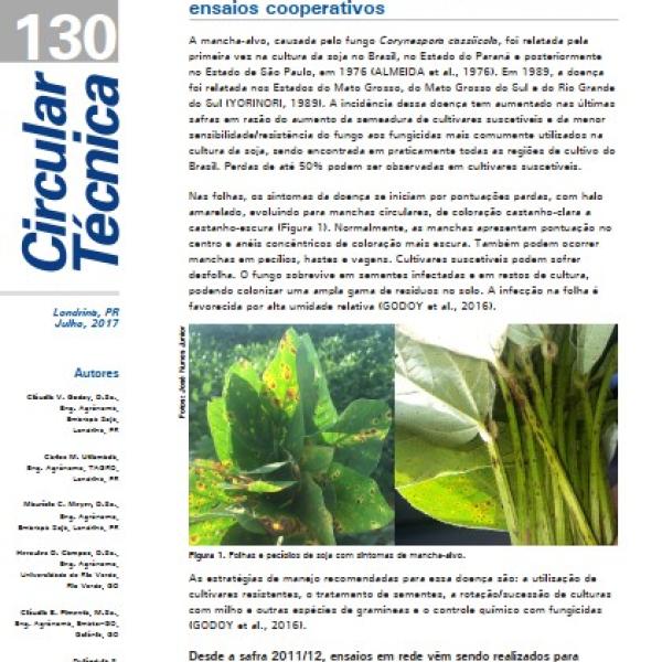 Eficiência de fungicidas para o controle da mancha-alvo, Corynespora cassiicola, na safra 2016/17: resultados sumarizados dos ensaios cooperativos