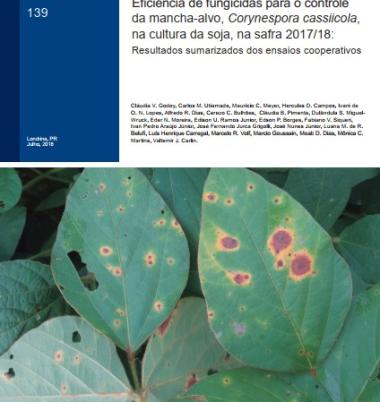 Eficiência de fungicidas para o controle da mancha-alvo, Corynespora cassiicola, na cultura da soja, na safra 2017/18: Resultados sumarizados dos ensaios cooperativos