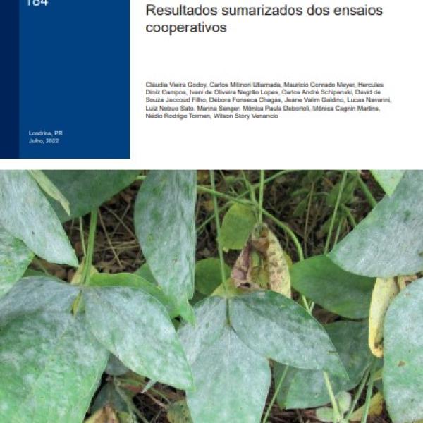 Eficiência de fungicidas para o controle do oídio, na safra 2021/2022: Resultados sumarizados dos ensaios cooperativos