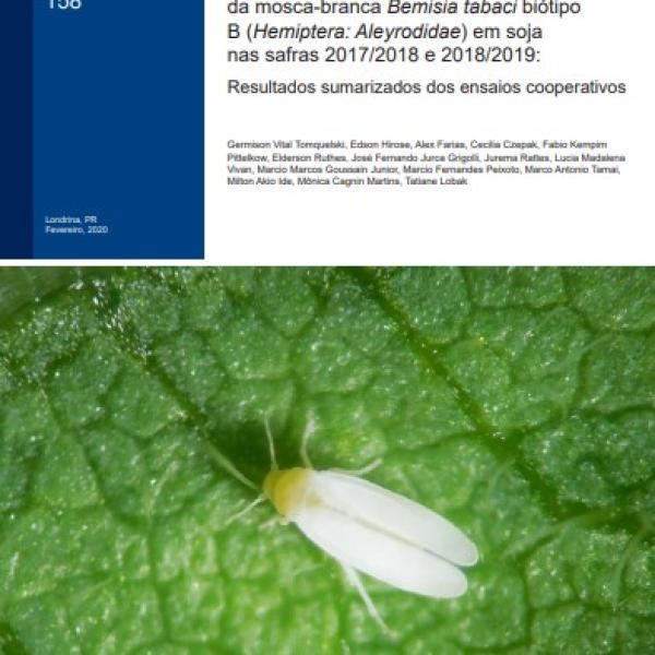Eficiência de inseticidas para o controle da mosca-branca Bemisia tabaci biótipo B (Hemiptera: Aleyrodidae) em soja nas safras 2017/2018 e 2018/2019: Resultados sumarizados dos ensaios cooperativos