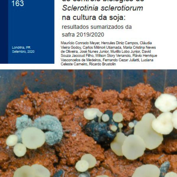Experimentos cooperativos de controle biológico de Sclerotinia sclerotiorum na cultura da soja: resultados sumarizados da safra 2019/2020