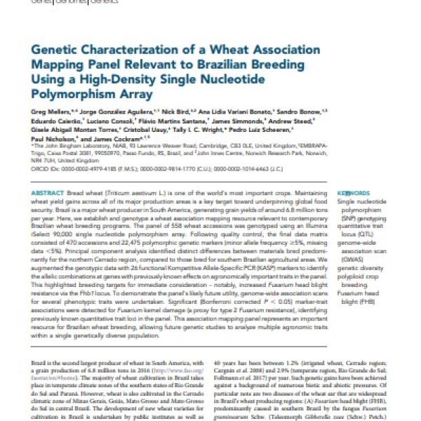 Genetic Characterization of a Wheat Association Mapping Panel Relevant to Brazilian Breeding Using a High-Density Single Nucleotide Polymorphism Array