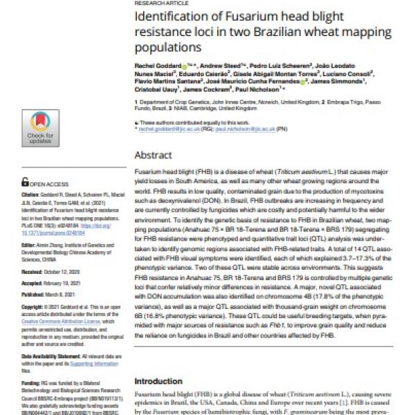 Identification of Fusarium head blight resistance loci in two Brazilian wheat mapping populations
