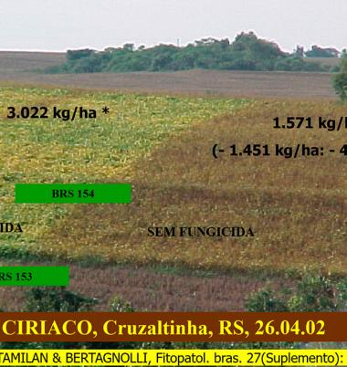 Lavoura apresentando diferença de aplicação de fungicida