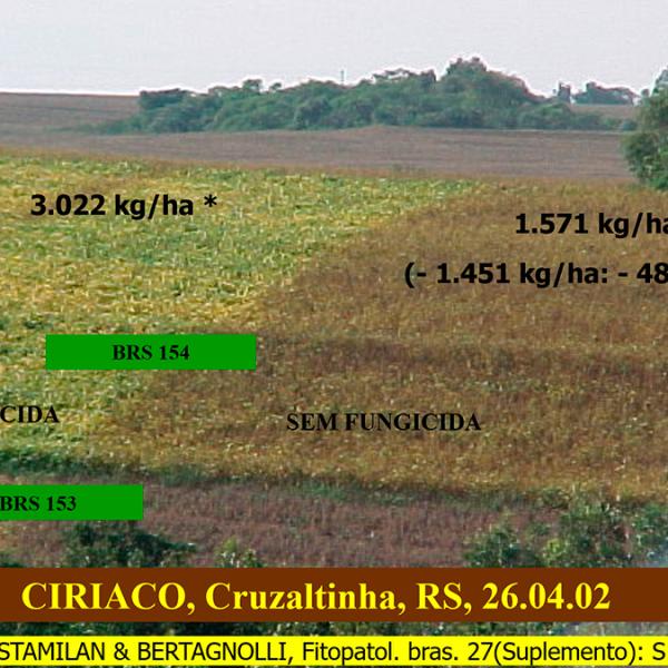 Lavoura apresentando diferença de aplicação de fungicida