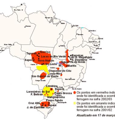 Levantamento de ocorrência da ferrugem-asiática