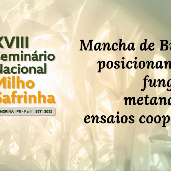 Mancha de Bipolaris: posicionamento de fungicidas e metanálise dos ensaios cooperativos