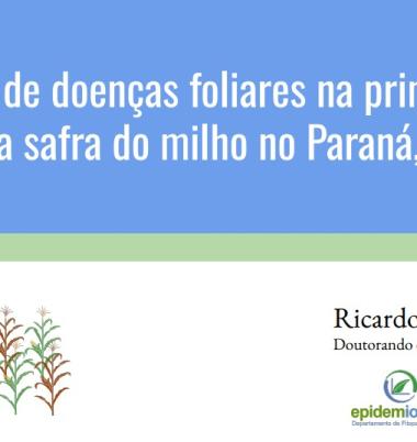 Manejo de doenças foliares na primeira e segunda safra do milho no Paraná, Brasil