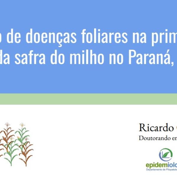 Manejo de doenças foliares na primeira e segunda safra do milho no Paraná, Brasil
