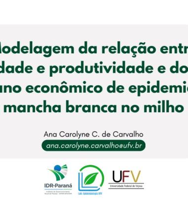 Modelagem da relação entre severidade e produtividade e do limiar de dano econômico de epidemias de mancha branca no milho