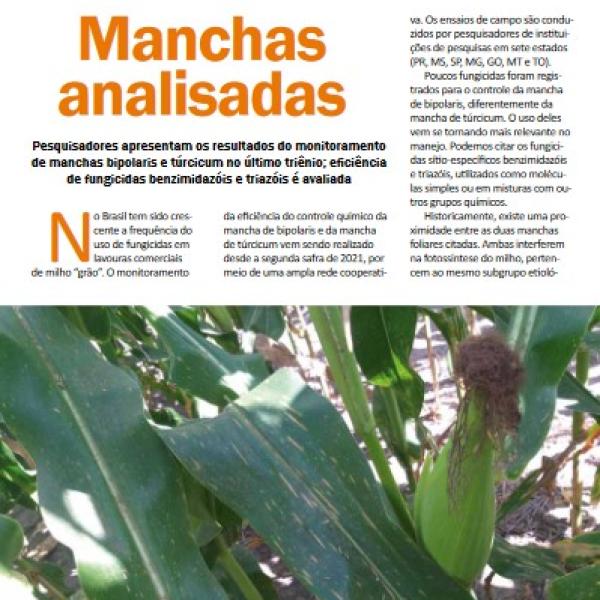 Monitoramento da Eficiência de Fungicidas no Controle de Doenças em Lavouras de Milho