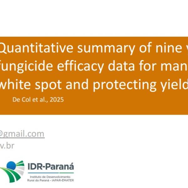 Quantitative summary of nine years of fungicide efficacy data for managing white spot and protecting yield in maize