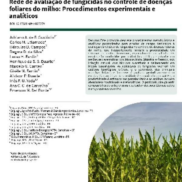 Rede de avaliação de fungicidas no controle de doençasfoliares do milho: Procedimentos experimentais e analíticos
