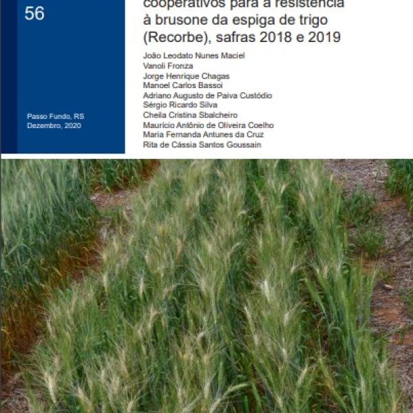 Resultados da rede de ensaios cooperativos para a resistência à brusone da espiga de trigo (Recorbe), safras 2018 e 2019
