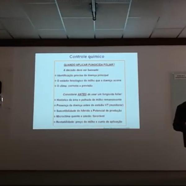 Reunião Técnica: Fungicidas em Milho - Parte II – Sintomatologia de doenças foliares do milho