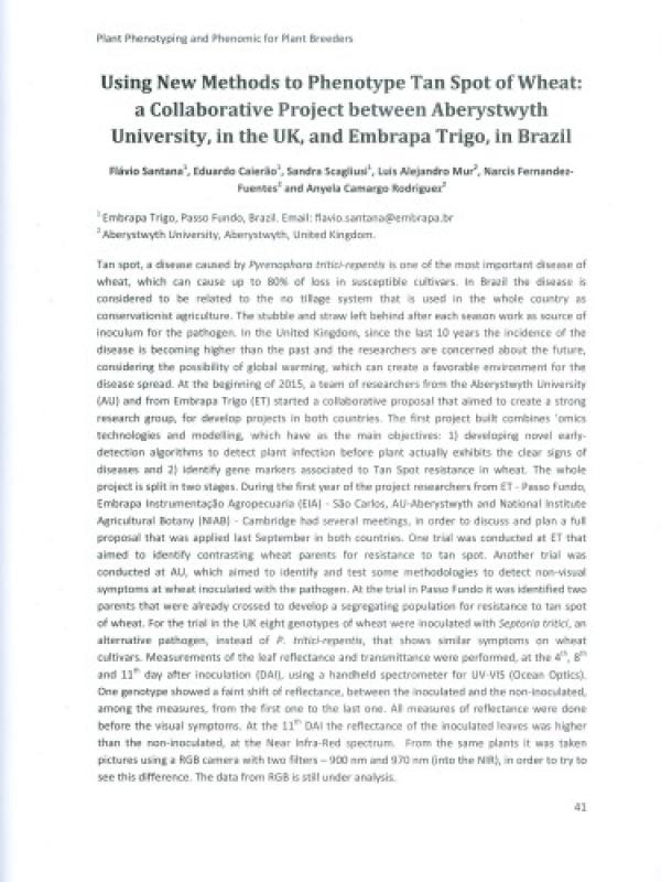 Using new methods to phenotype tan spot of wheat: a collaborative project between Aberystwyth University, in the UK and Embrapa Trigo, in Brazil