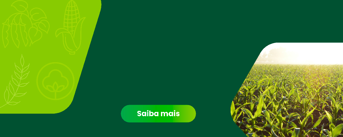 banner4